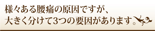 様々ある腰痛の原因ですが、 大きく分けて3つの要因があります。 様々ある腰痛の原因ですが、 大きく分けて3つの要因があります。