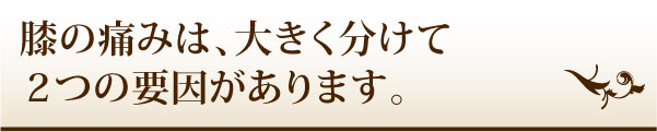 膝の痛みは、大きく分けて2つの要因があります。 膝の痛みは、大きく分けて2つの要因があります。