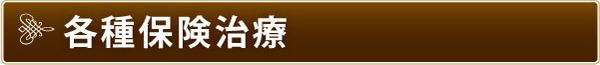 各種保険治療 各種保険治療