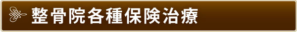 各種保険治療 各種保険治療
