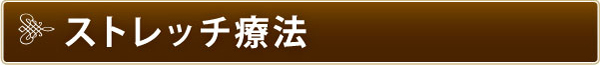 ストレッチ療法 ストレッチ療法